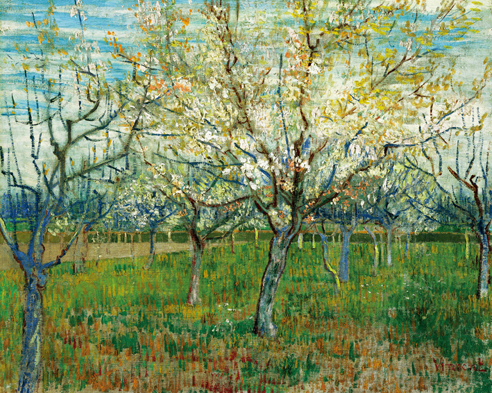  文森特·威廉·梵高  Vincent Willen Van Gogh ——粉色的果园 (March 1888 - 1888)